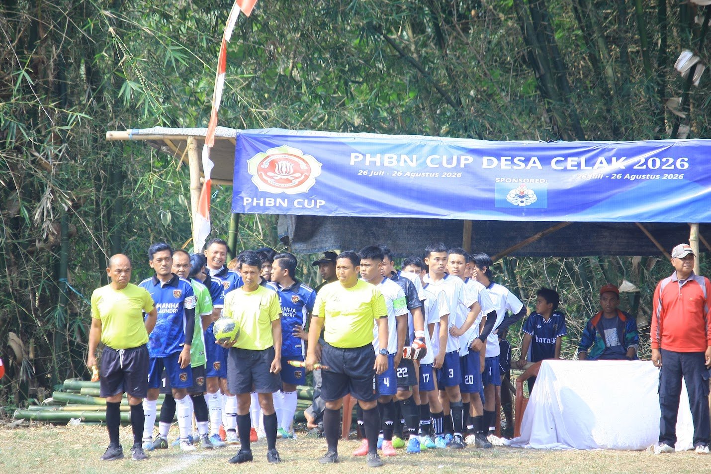 Lion baraya