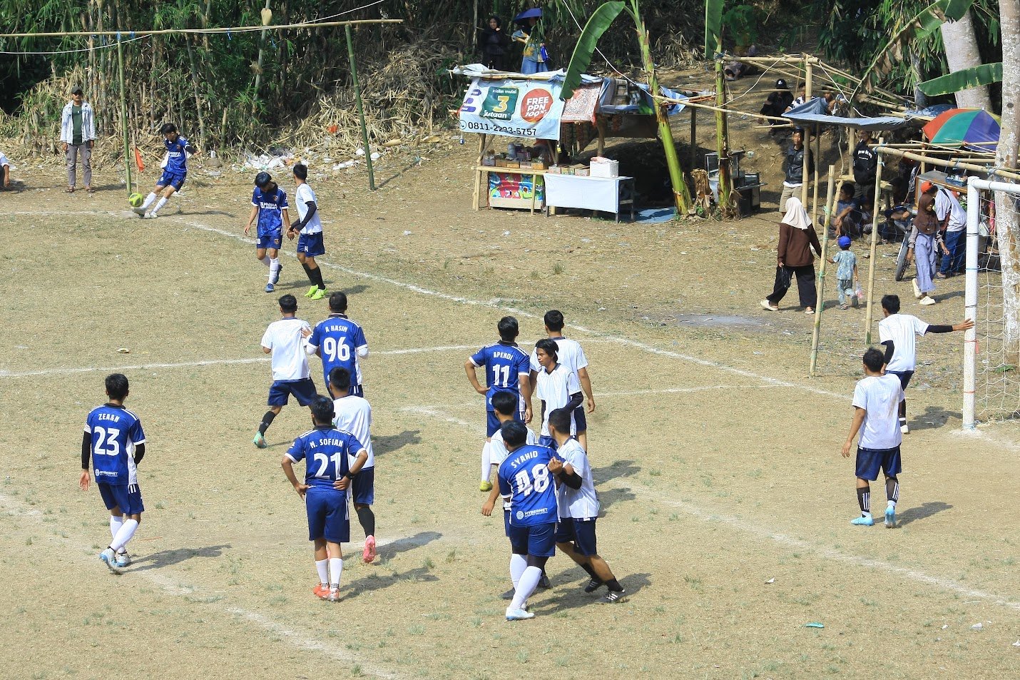 lion baraya 2